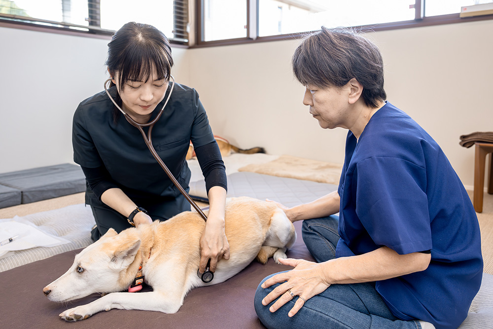 診察について