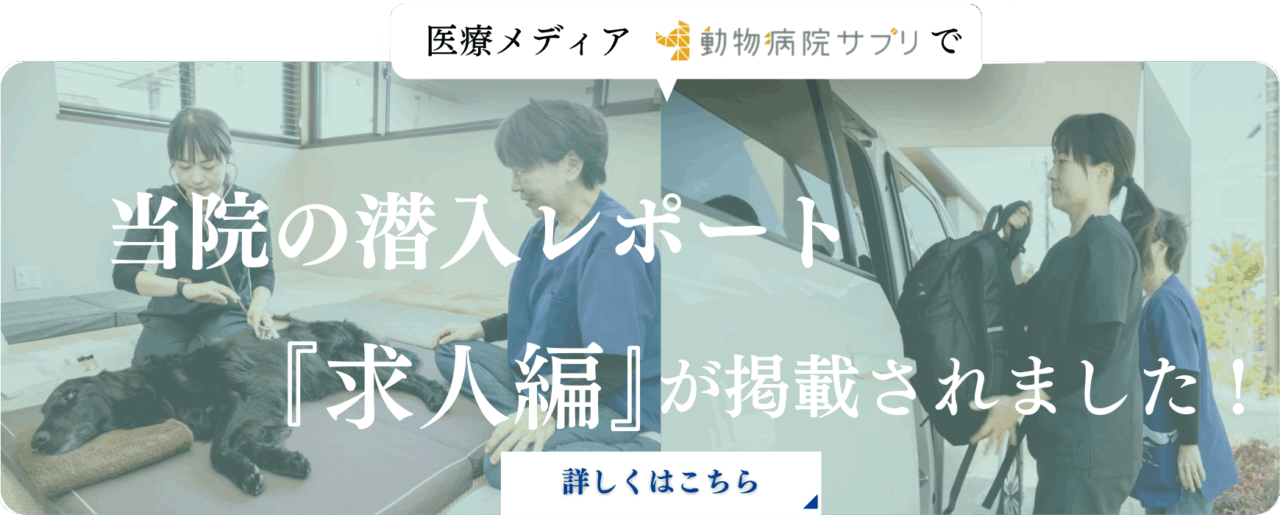 当院の求人編が掲載されました