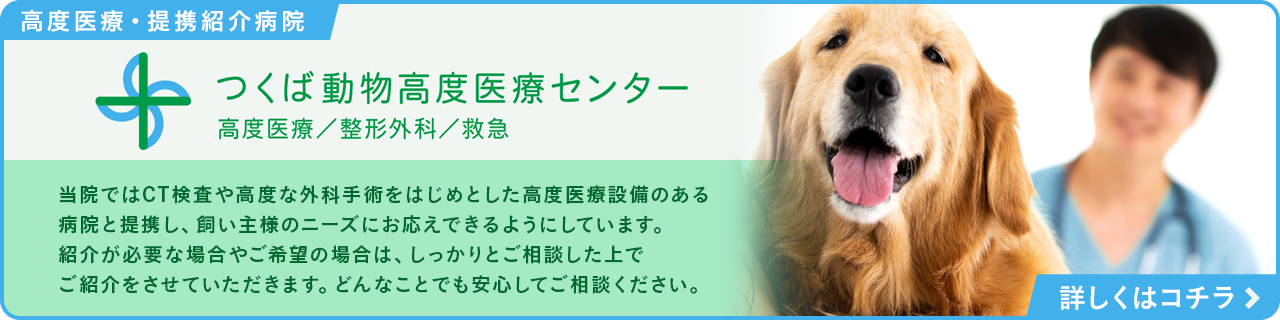 高度医療・提携紹介病院